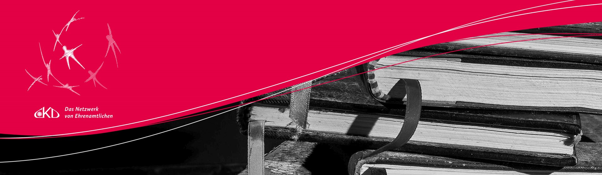 Header_Veröffentlichungen_JPG